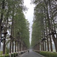 評論圖片 1