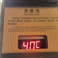 評論圖片 4