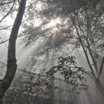 評論圖片 8