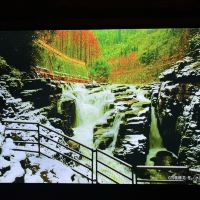 評論圖片 5
