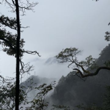 評論圖片 9