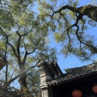 評論圖片 6