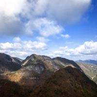 評論圖片 6