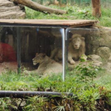 評論圖片 4