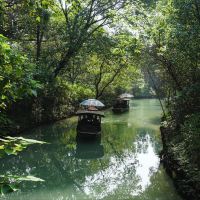 評論圖片 4