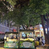 評論圖片 3