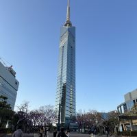 評論圖片 1