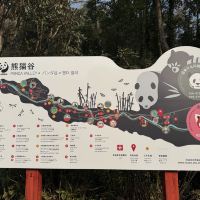 評論圖片 1