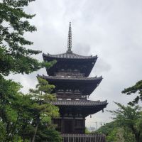 評論圖片 1