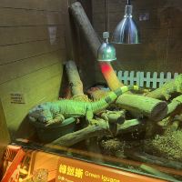 評論圖片 5