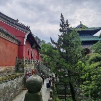 評論圖片 1