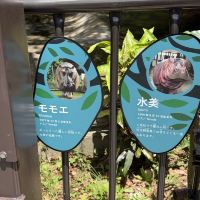 評論圖片 3