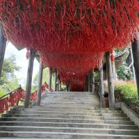 評論圖片 8