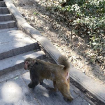 評論圖片 3
