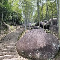 評論圖片 6