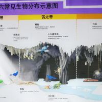 評論圖片 4