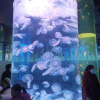 評論圖片 3