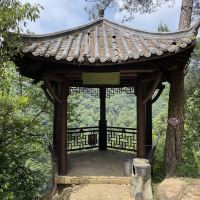 評論圖片 9