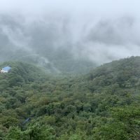 評論圖片 2
