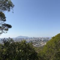 評論圖片 4