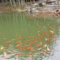 評論圖片 1