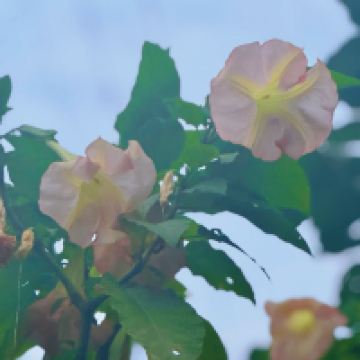 評論圖片 2