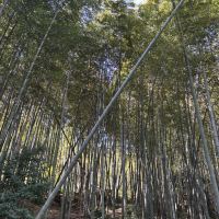 評論圖片 6