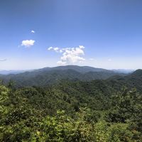 評論圖片 5
