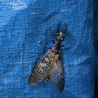評論圖片 4