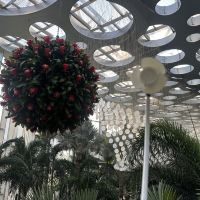 評論圖片 8