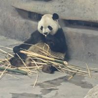 評論圖片 3