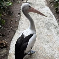 評論圖片 9
