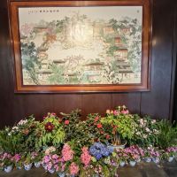 評論圖片 4