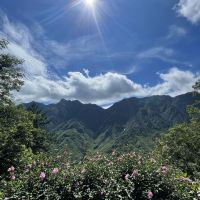 評論圖片 2