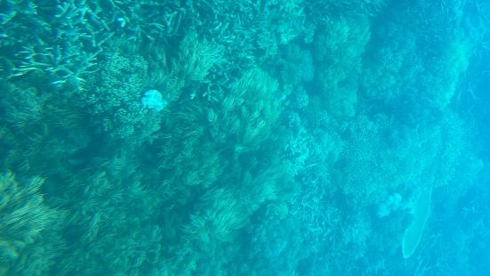 建议住在香格里拉，周围吃饭散步都方便，离码头200米。外堡礁