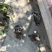 評論圖片 3
