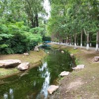 評論圖片 6