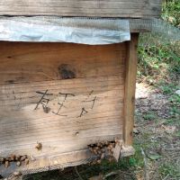 評論圖片 2