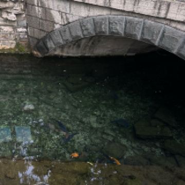 評論圖片 7