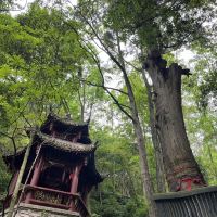評論圖片 1