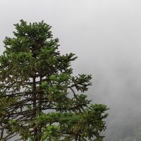 評論圖片 6