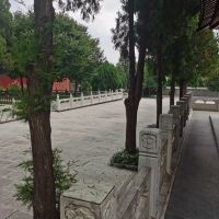 評論圖片 3