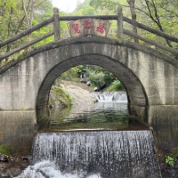 評論圖片 4