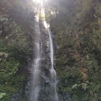 評論圖片 1