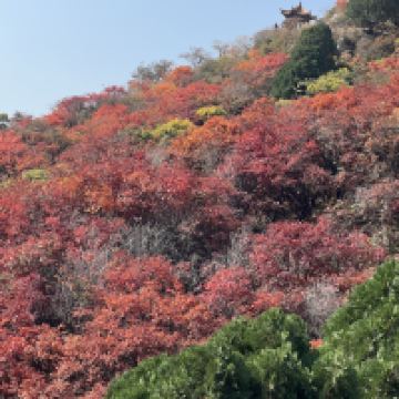 評論圖片 2