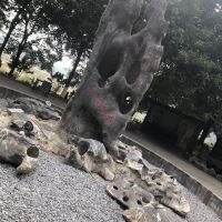 評論圖片 5