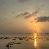 評論圖片 5