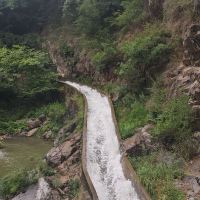評論圖片 5