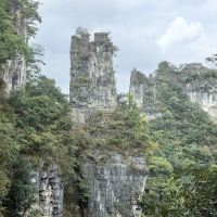 評論圖片 5