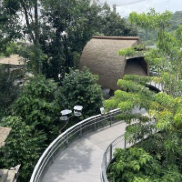 評論圖片 6